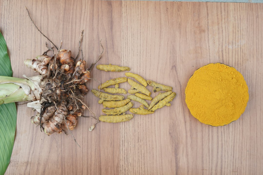 Turmeric Tincture Benefits: A Simple Guide to the Golden Root