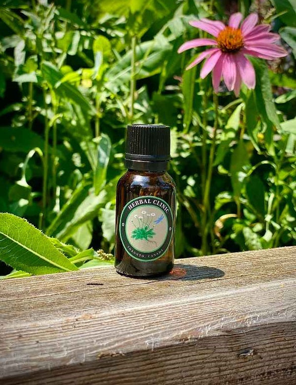Frankincense Tincture Benefits: What This Resin Can Do