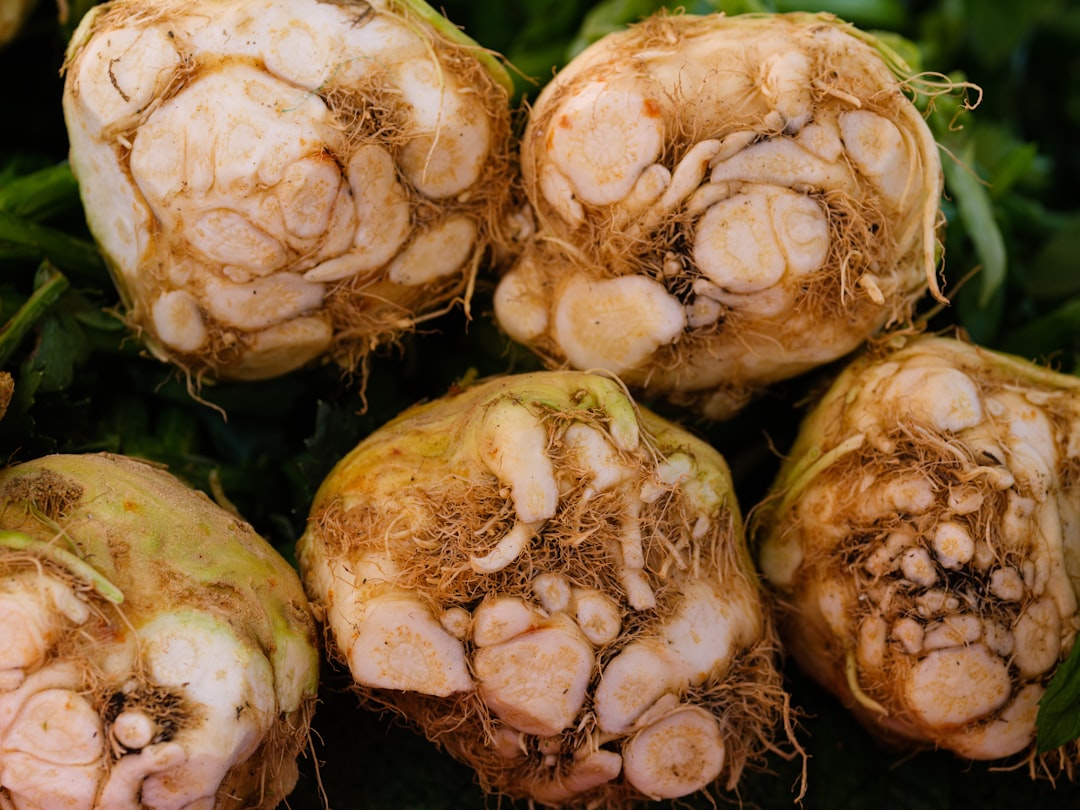 Maca root tincture for energy, Lepidium meyenii root from the Peruvian Andes