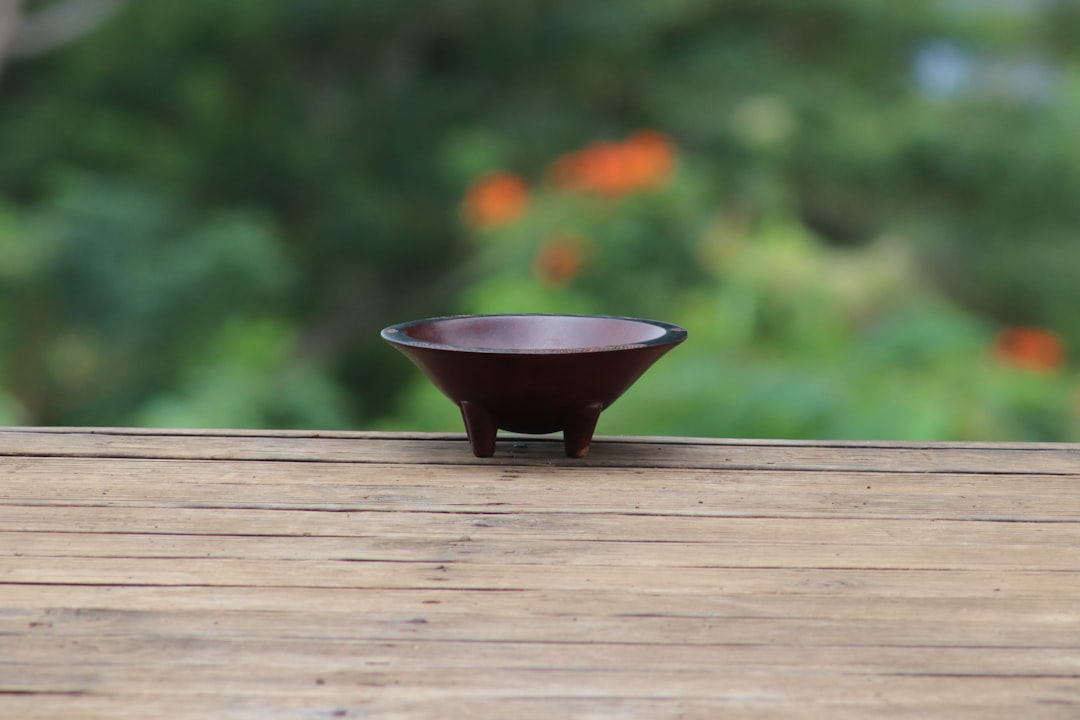 Kava kava tincture for stress made from Piper methysticum root