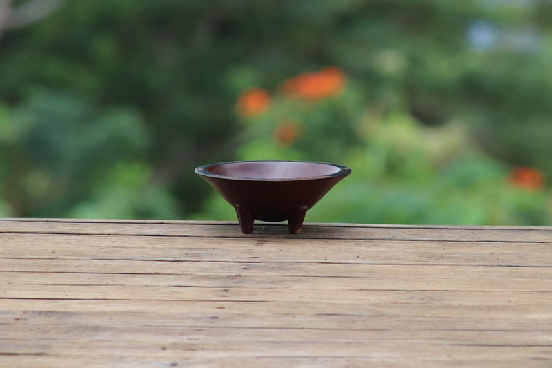 Kava kava tincture for stress made from Piper methysticum root
